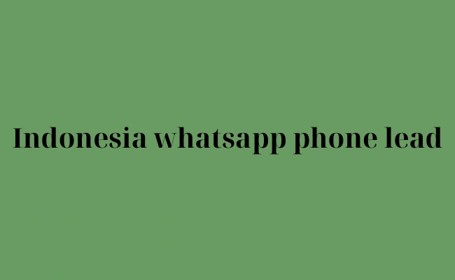 Indonesia whatsapp phone lead