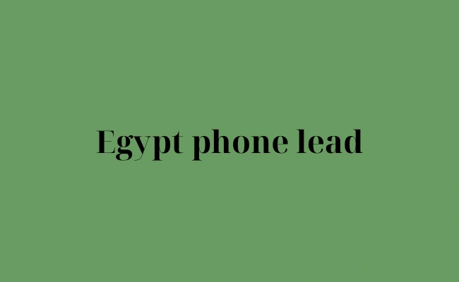 Egypt phone lead